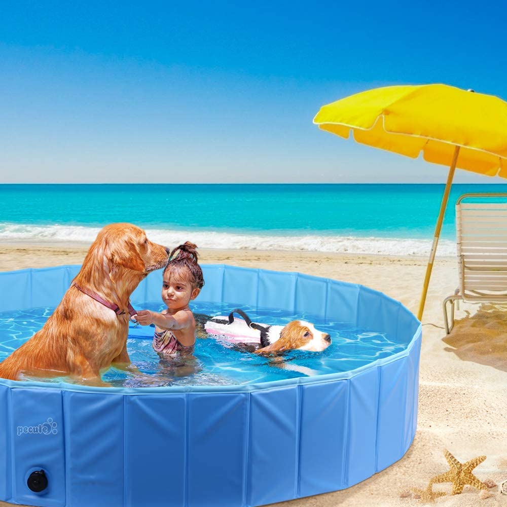 Pecute hondenzwembad
