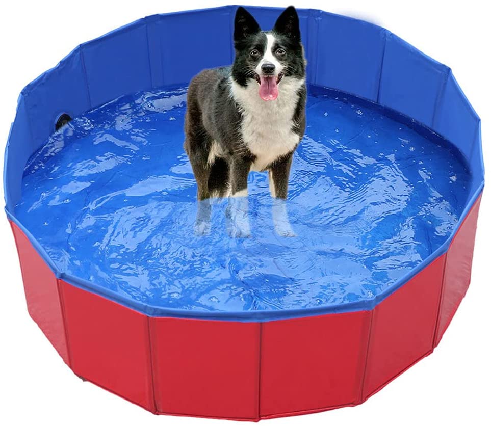 Pet Pool PVC leukste zwembadjes voor huisdieren
