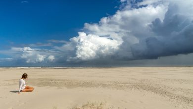 de top 7 mooiste stranden in Nederland