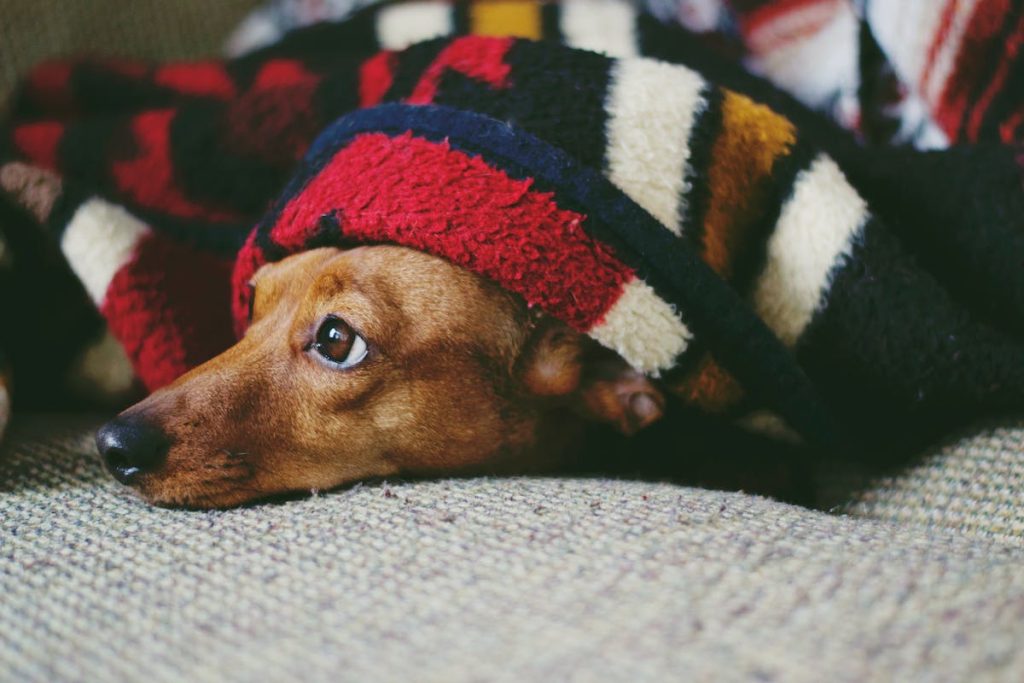 De top 10 beste warme dekens voor in de winter