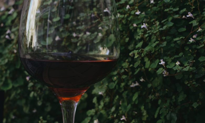 Waarom een wijnkoelkast bijdraagt aan jouw interieur