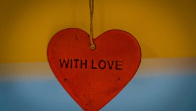 Het leven en de carrière van Holly Mae Brood, dochter van Herman Brood