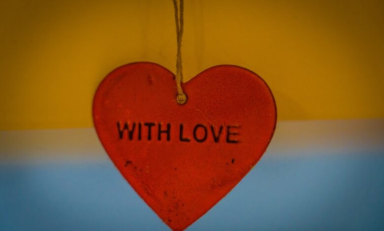 Het leven en de carrière van Holly Mae Brood, dochter van Herman Brood