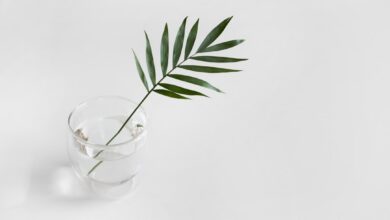 Zo zorg je voor een goed bloeiende forsythia met de juiste snoei