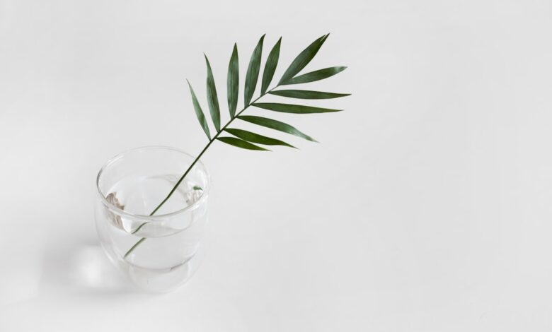 Zo zorg je voor een goed bloeiende forsythia met de juiste snoei